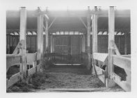 E. C. Winslow Livery Stables, Tarboro, N.C.